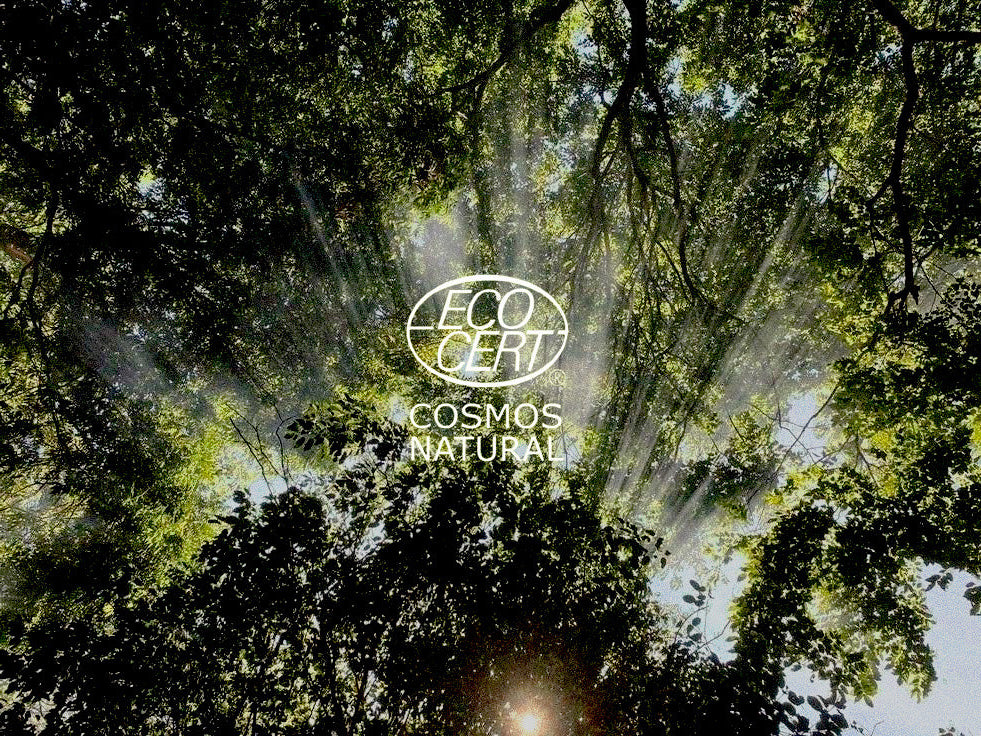 Sunlight filtering through trees with 'Eco Cosmicos' logo overlay